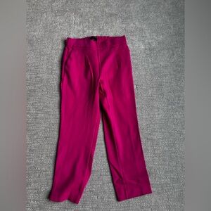 Ann Taylor Fuchsia Pants